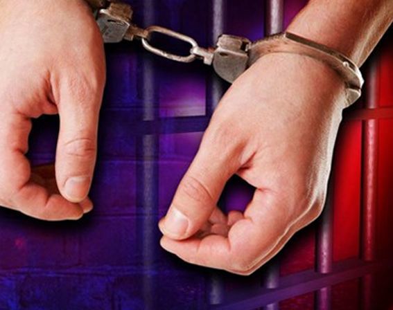 K9 officer finds suspect after high speed chase